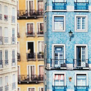 Jodhpor Bungalow Suck UK Skyline Gift Wrap LUXURY Sheet Wrapping Paper India